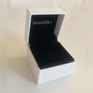 Pandora Black and White Jewelry Box